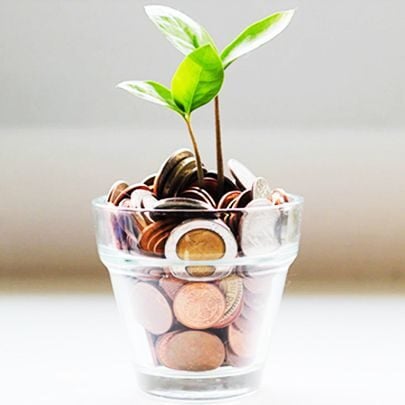 Immense selection of products and services