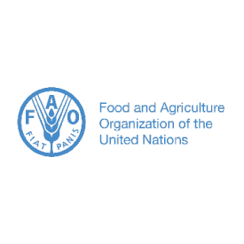 FAO Company Logo
