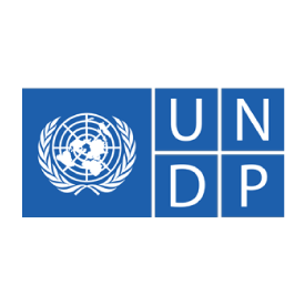 UNDP Organization Logo