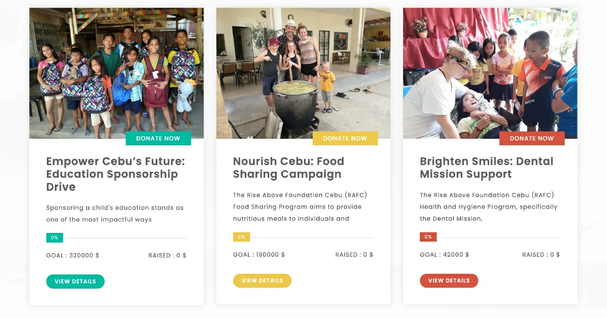 Rise Above Donation Platform Program Goals